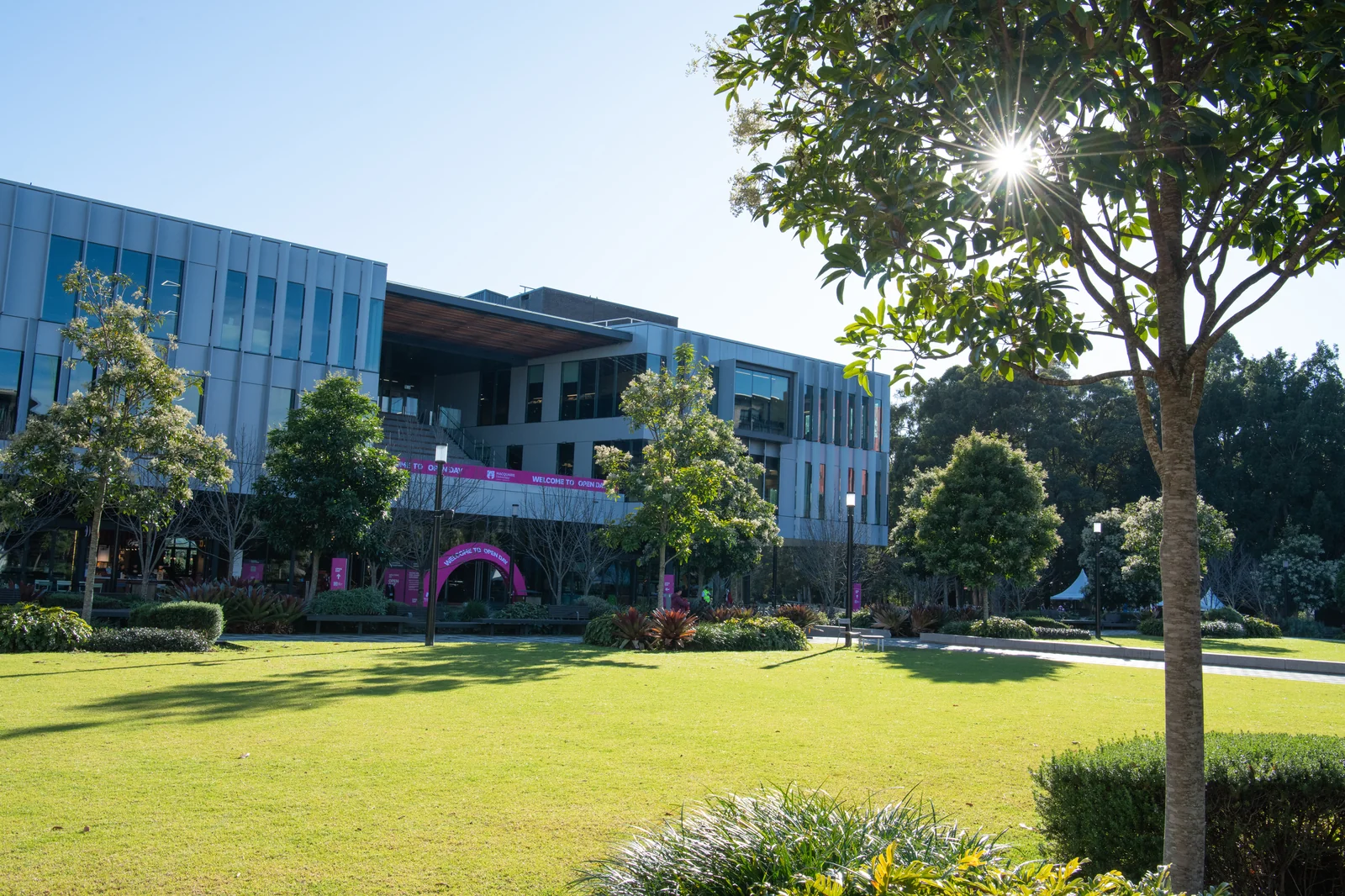 Macquarie University campus